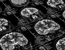 About Gallery Image 3